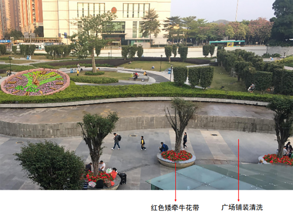 花漾街区”及“街心花园”绿化改造工程（三标段）