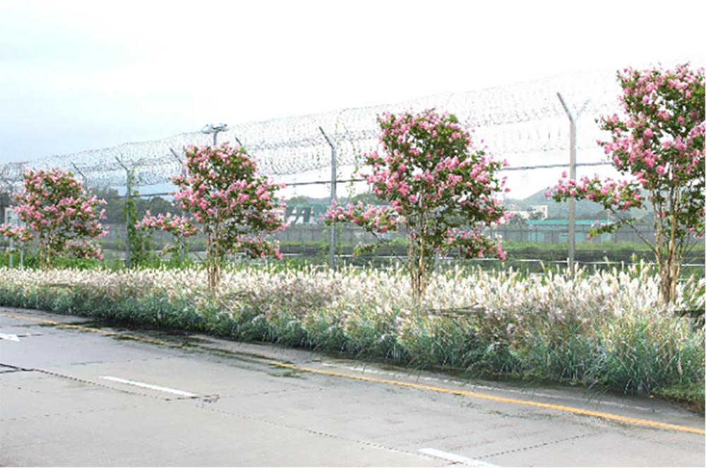 花漾街区”及“街心花园”绿化改造工程（三标段）
