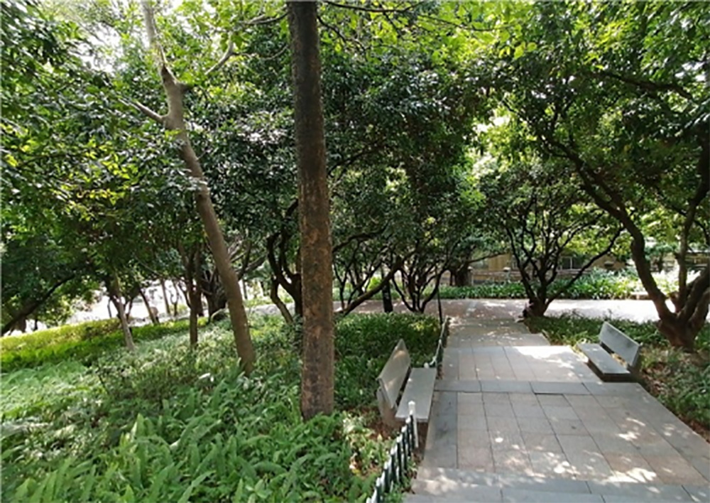 龙华公园景观提升工程
