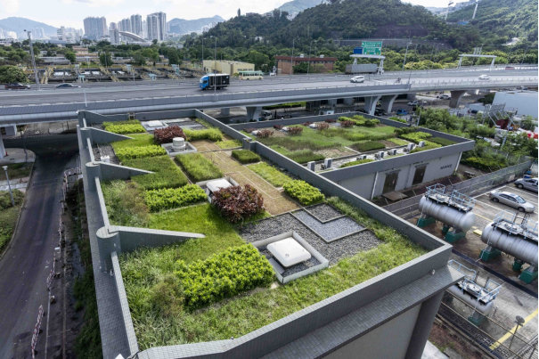 燕罗街道2017年屋顶绿化项目建设工程