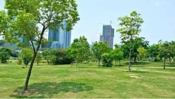 白石龙社区街心花园建设工程