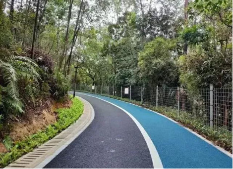 长流陂绿道（上南东路-新二荔枝场）绿化提升工程