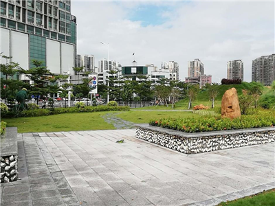沙井街道蚝乡路与宝安大道街心公园