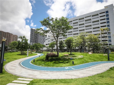 白石龙社区街心花园建设工程